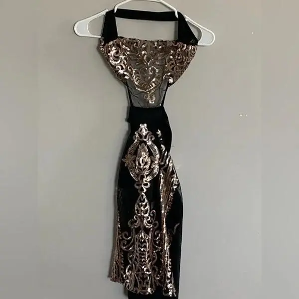 Regal Thread Embroidered Dress
