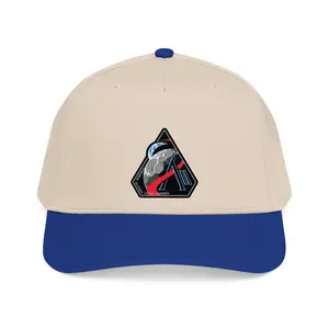 ARTEMIS 2 Hat Classic Printed Version, Gift For Fans
