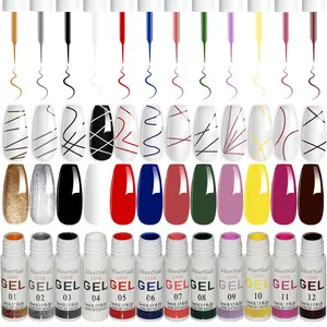 Gel Liner Art Polish Set 12 Color Black White Gold Silver Design Paint with Thin Brush in Bottle for Swirl/ Euphoria French Tips Manicure Painting DIY at Home