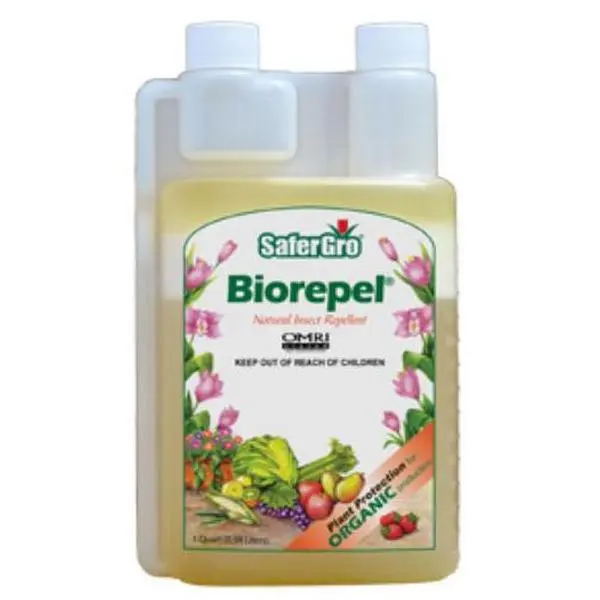 212 MAIN JH Biotech-SaferGro 0215 BioRepel Qt Natural Insect Repellent - Organic Allium Sativum Garlic Extract Plant Defense Solution, Safe to Handle and Use, for Home, Festive Supplies