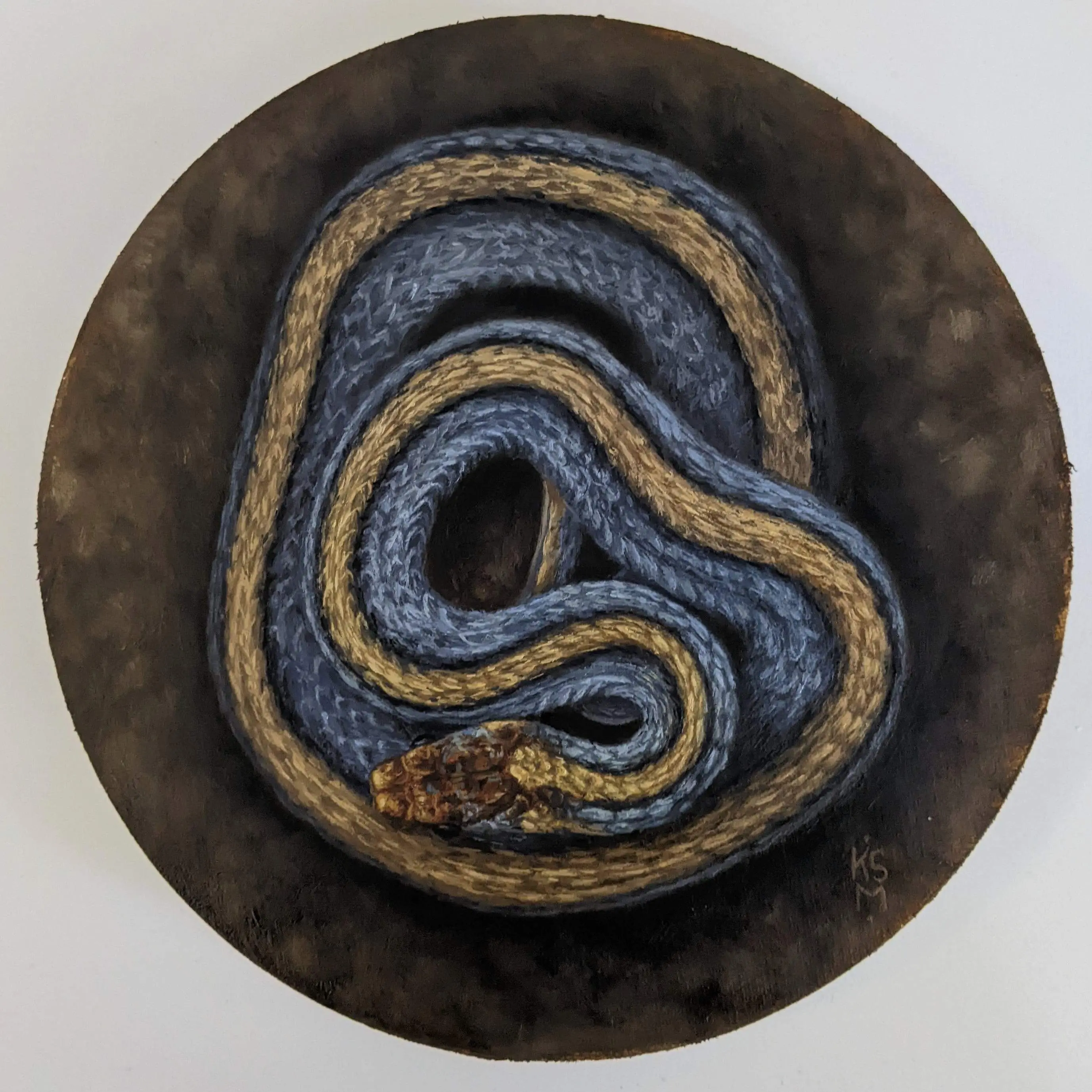 Red Bellied snake giclee print #1 in black frame 10 x 10"