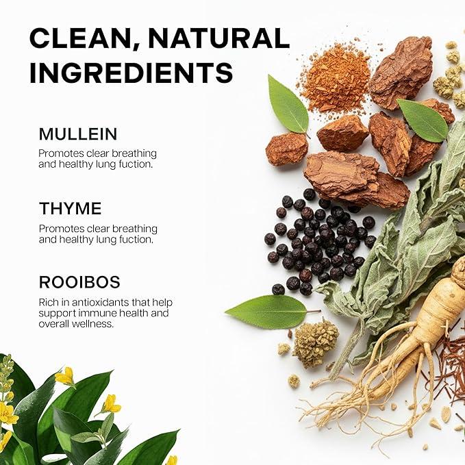 Betterbrand Lung Detox Tea | 30 Day Supply (Two Boxes, 30 Teabags Included) - Mullein Leaf, Ginseng, Elderberry, Ginger & Thyme for Lung Cleanse & Mucus Detox - 30 Tea Bags for Healthy Natural Respiratory Relief