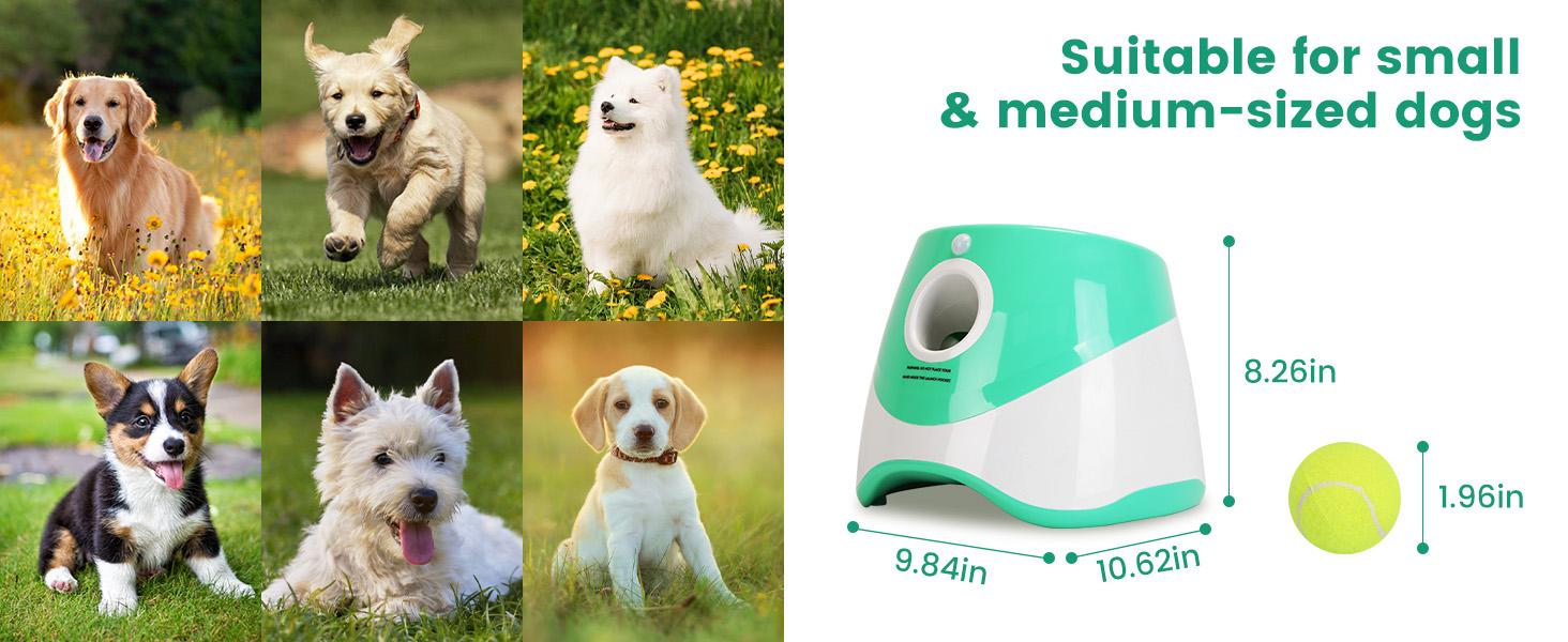 Dog Ball Thrower Launcher, Automatic Ball Launcher with 6 Tennis Balls for Small Medium Dogs, 3 Adjustable Distance Settings, Rechargeable Dog Toy Mental Stimulation Training Game for Energetic Dogs