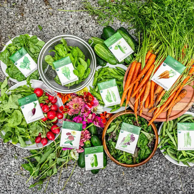 Ultimate Garden Gift Bundle