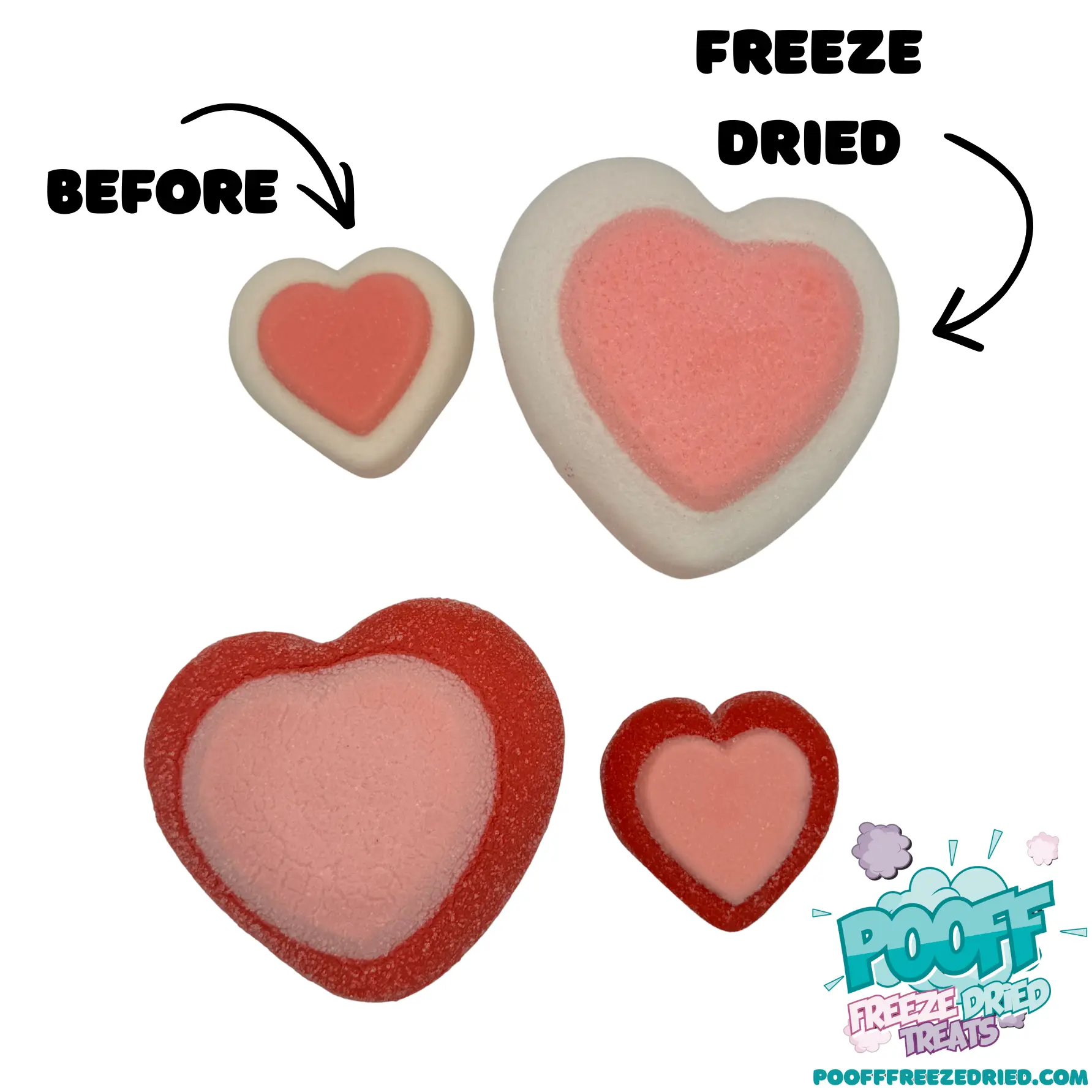 Freeze Dried Marshmallow Heart Freeze Dried Marshmallow Heart