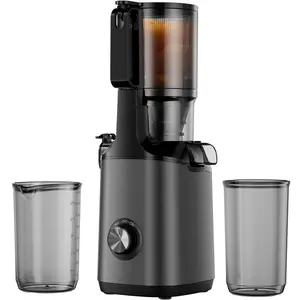 【Small Juicer】Cold Press Juicer, Slow Juicer Machine with 4.3" Feed Chute Fit Fruits & Vegetables, Masticating Juicer with High Juice Yield and Easy to Clean, Large Auger, Double Strainers, BPA Free 250W, Best Gift