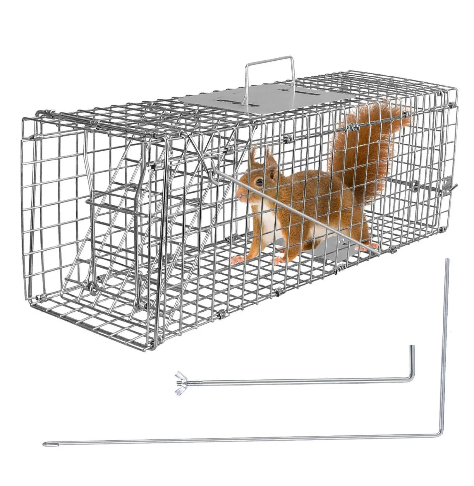 Cat Trap Cage Humane Catch & Release - Galvanized Wire Animal Trap for Raccoons, Groundhogs, Foxes, Armadillos - Collapsible Live Animal Cage