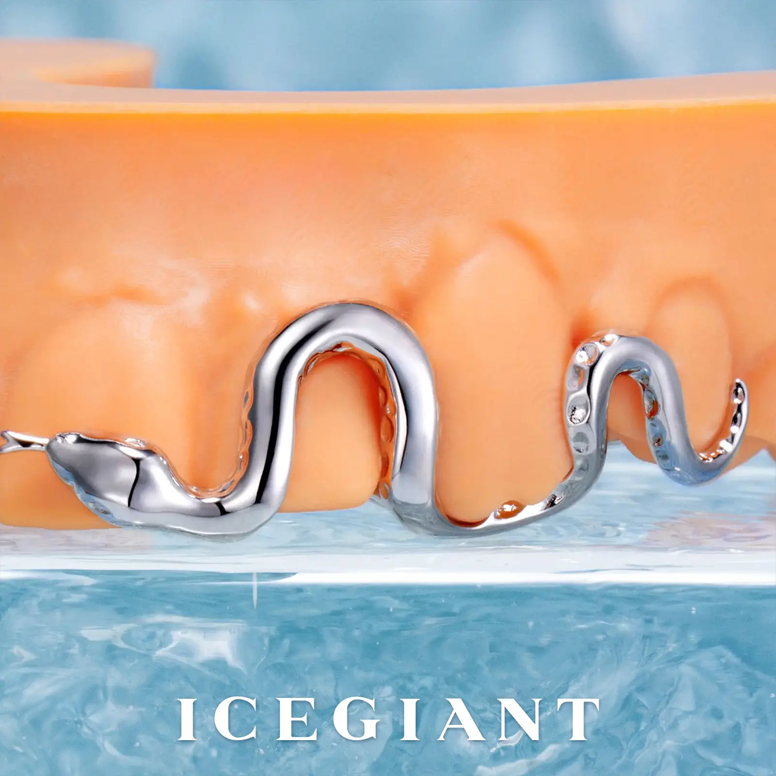 Custom Snake Grillz