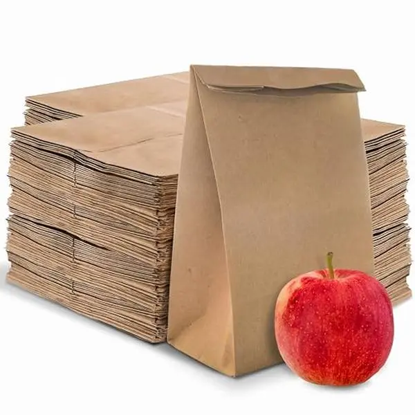 Stock Your Home 4 Lb Kraft Brown Paper Lunch Bags (500 Count) - Bulk Disposable Lunch Sacks, Small Size Blank Bag for Kids, Good for a Snack, Sandwich, Grocery Food, and Arts & Crafts Projects