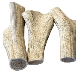 Antler Chews for Dogs - Jumbo Size, Suitable for Giant Breeds, Natural Antler Design
