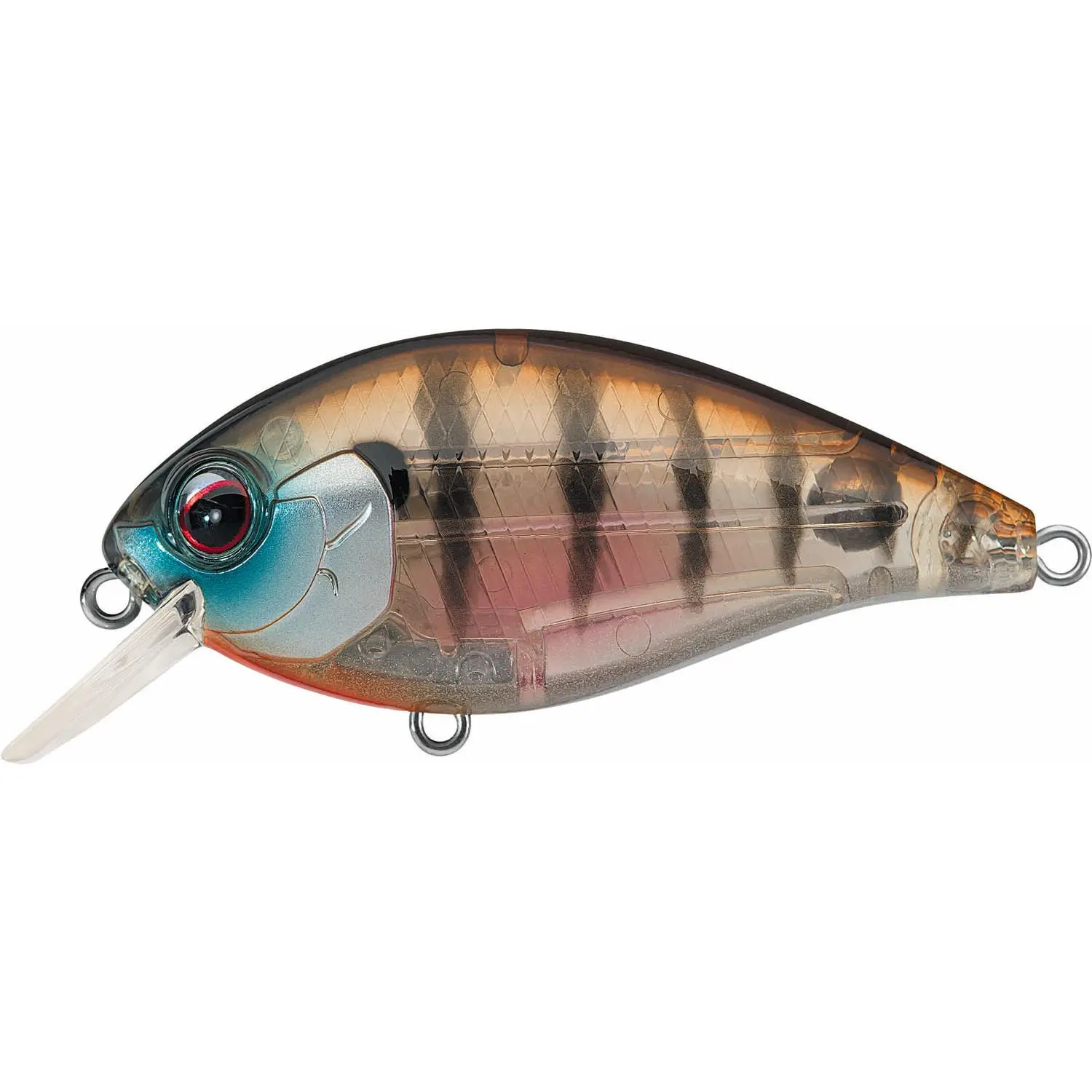 Evergreen International SH-3 Shallow Squarebill Crankbait - 2 3/4 Inch Square Lip Lure Fishing Tackle with Super-Wide Wobble for Shallow Fishing Anglers