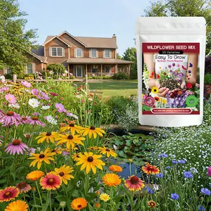 Wildflower Seed Mix 2Packs 35 Varieties 20000+Pcs wildflower seed bulk, Non-GMO Perennial & Annual Flowers for Pollinator Garden