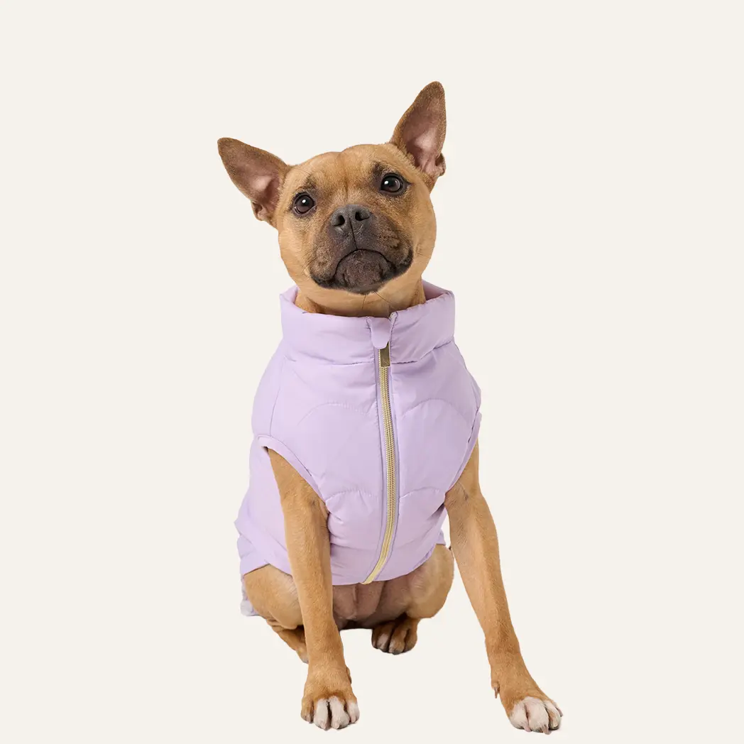 Darren & Phillip | Cloud Dog Puffer Vest