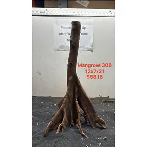 Mangrove Tree Stump 308