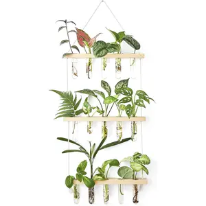 Propagation Mini Test Tubes, 3 Tiered Wall Hanging  Terrarium with Wooden Stand Flower Vase Glass Planter for Hydroponic   Home Garden Office Decor  Lover Gift