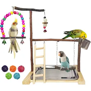 Parrot Playstand Parakeet Gym Playpen Cockatiel Wood Perch Exercise Activity Center Ladders Feeder Cups Cage Accessories Swing Chew Toys for Cockatoo Budgie Lovebird Finch