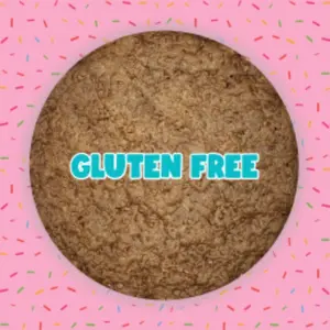 13” Gluten-Free Chocolate, Chocolate Chip Cookie Cake