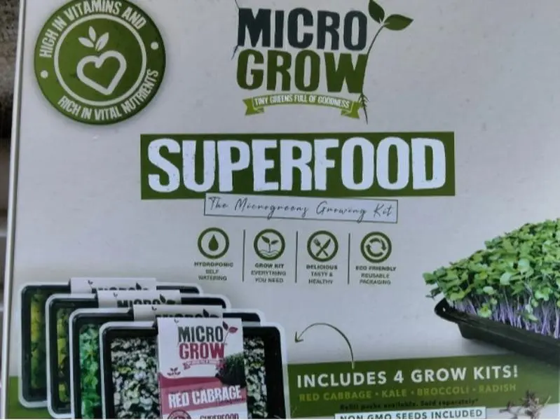 Sprouting Planting kit Kale Broccoli Red Cabbage Radish 4 trays Educational