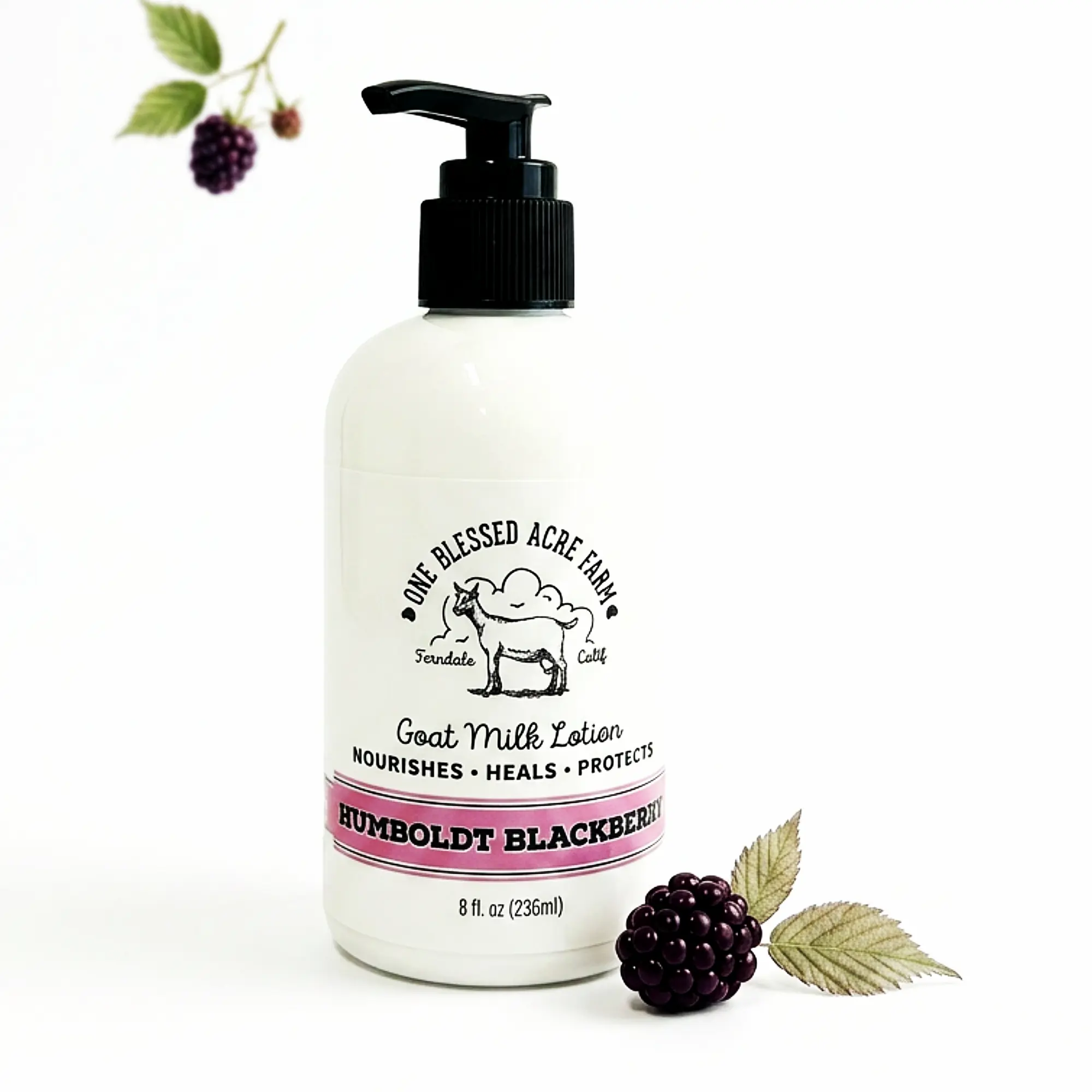 Humboldt Blackberry Goat Milk Lotion by 1 Blessed Acre Farm - 8 oz Hand & Body Moisturizer, Scented Body Care for Nourishing Moisture Repair