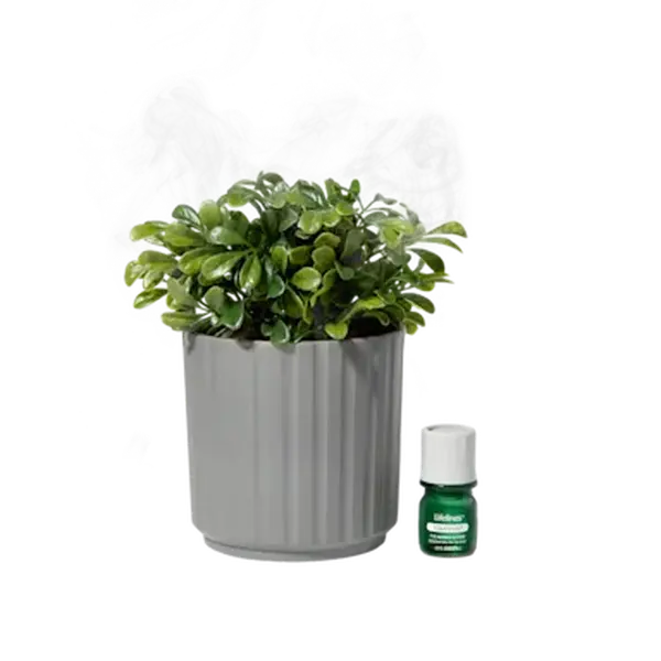 Lifelines Rechargeable Essential Oil Diffuser - Ribbed Gray Faux Boxwood Plant Diffuser, Ideal for Birthday, Housewarming, College Graduation, High School Graduation Gifts