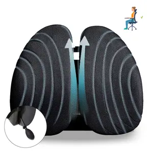 BANU Supreme Comfort Lumbar Relief Pillow with Memory Foam Back Cushion - Ergonomic Design, Adjustable Straps, Breathable Mesh, and Multi-Purpose Usage