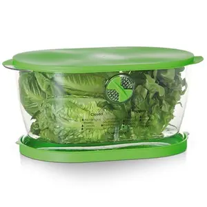 Prep Solutions by Progressive Lettuce Keeper Produce Storage Container, 4.7 Quarts, Green (LKS-06)