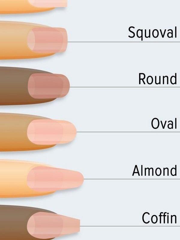 Leopard French Tip Nail Box, nude pink stiletto nails with black French tips and subtle leopard print accents, premium ABS gel material, reusable, fit for women, ideal gift for birthdays or fashion lovers