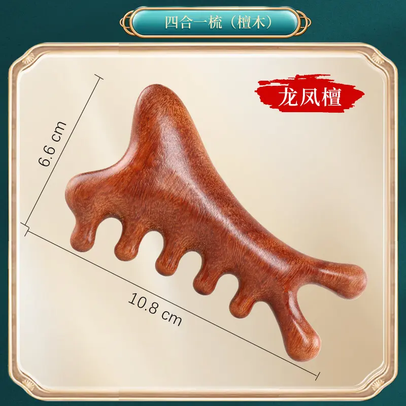 Four in One Comb �� Dragon Phoenix Sanda