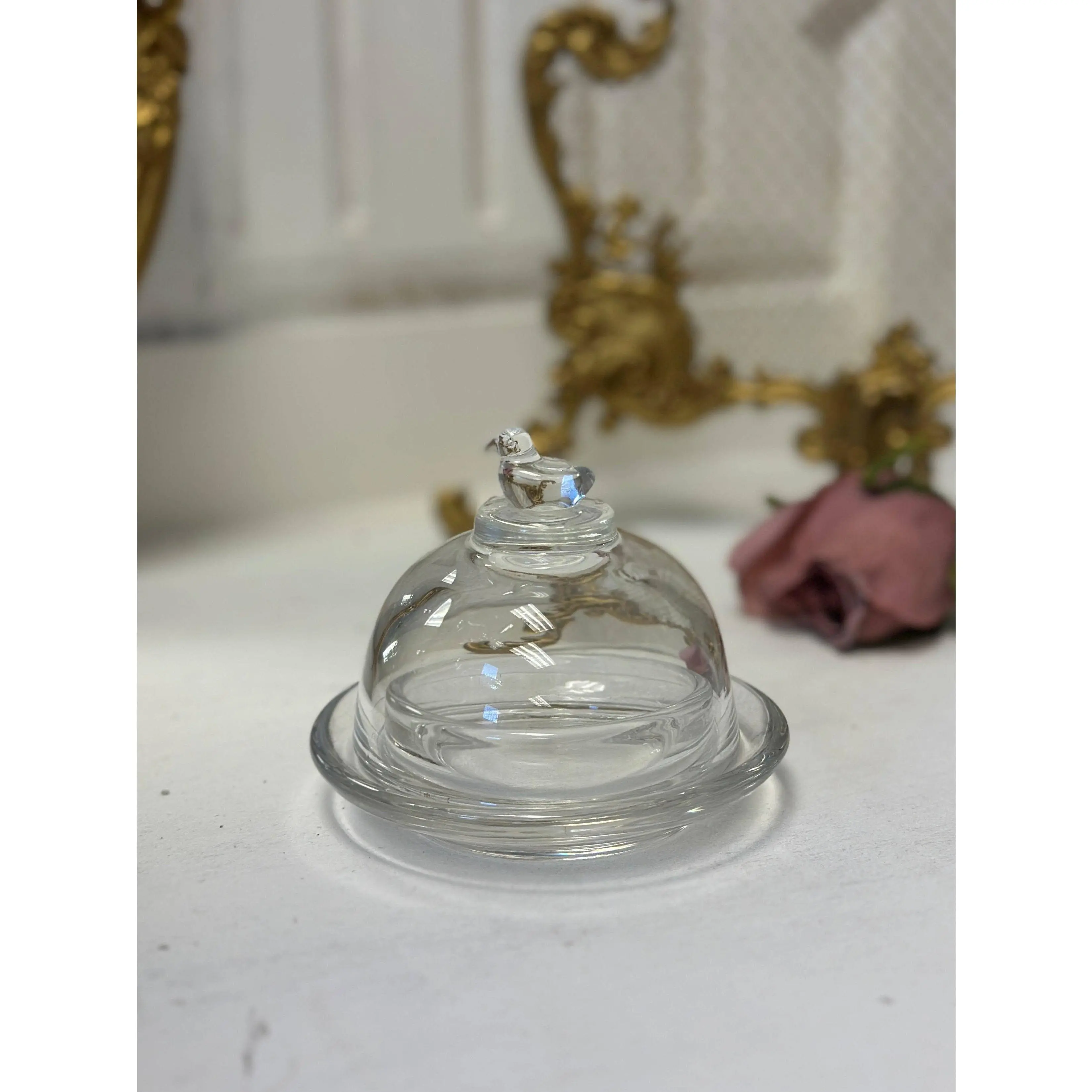Glass Bird Cloche