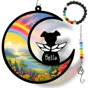 Dog Memorial Suncatcher Gift Package with Bracelet & Sympathy Card, Personalized with Pet Name for Dog Loss,Remembrance,Bereavement,Death,Passing Away,Grief and Condolences(Rainbow River)