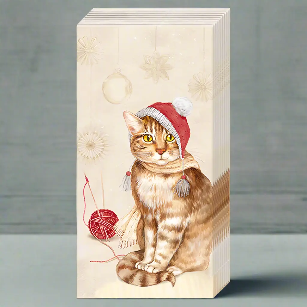 Tabby Cat Pocket Tissues