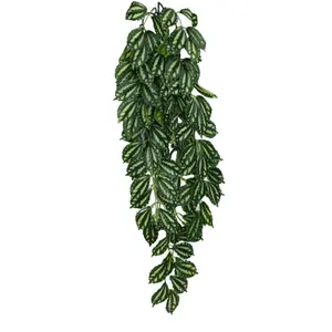 Komodo Zebrina Hanging Plant 1ea/LG, 26 in