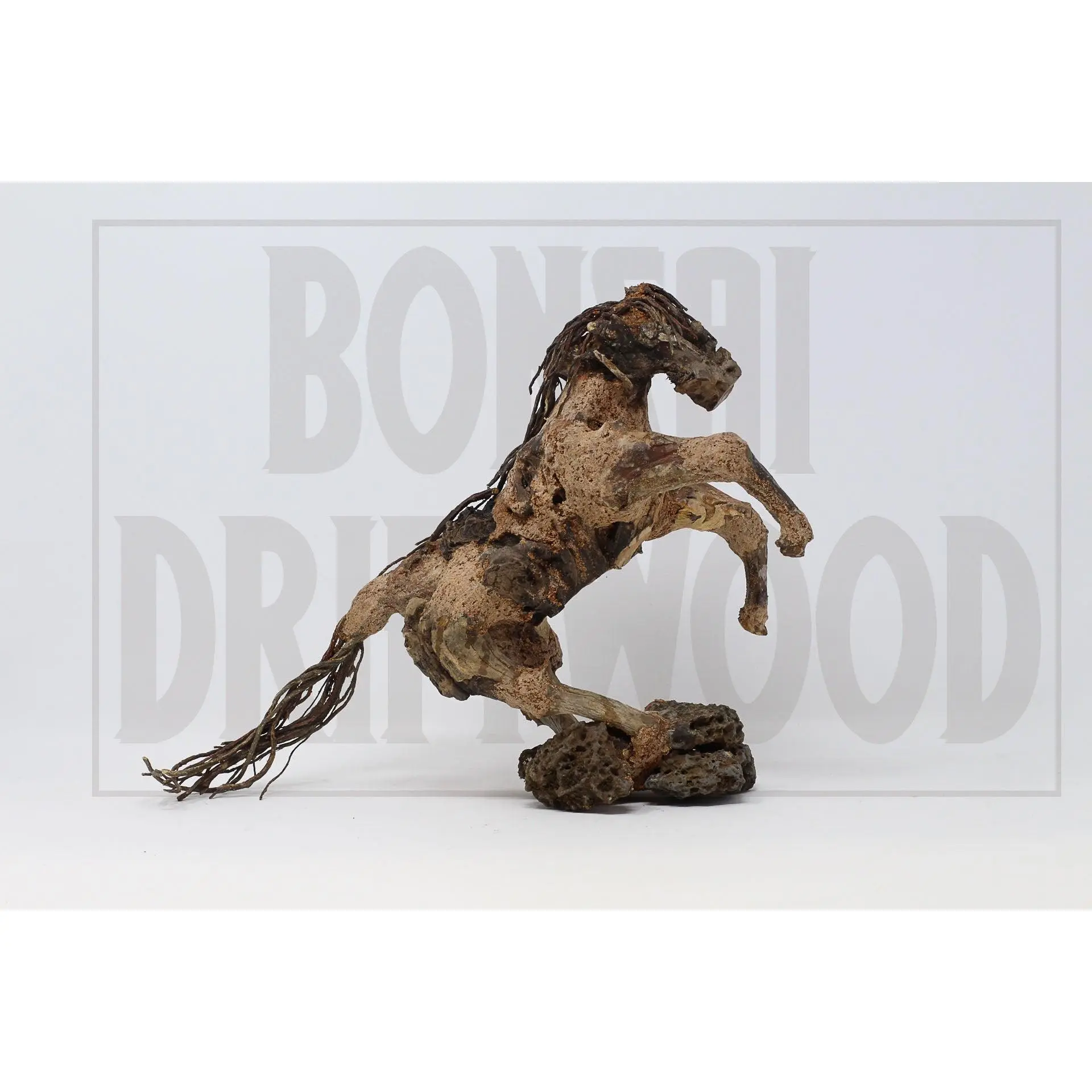 Aquarium Driftwood Bonsai Tree Quince AquaScape Fish Planted Freshwater SP-28