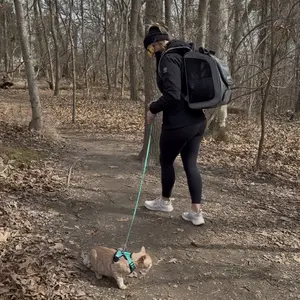 Pecute Cat Backpack Carrier Large Space Bubble Design for Travel Green Gray Khaki Black Pink Ideal for Cat Lovers Animal Carrier