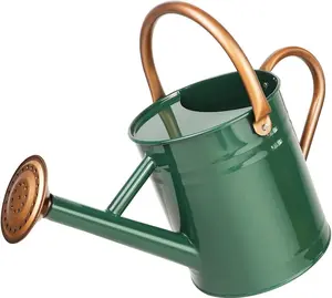 Galvanized Steel Watering Can - Modern Design for Home, Office, and Garden - 3 Size Options - 2 Watering Options - Brushed Copper/Gold Color