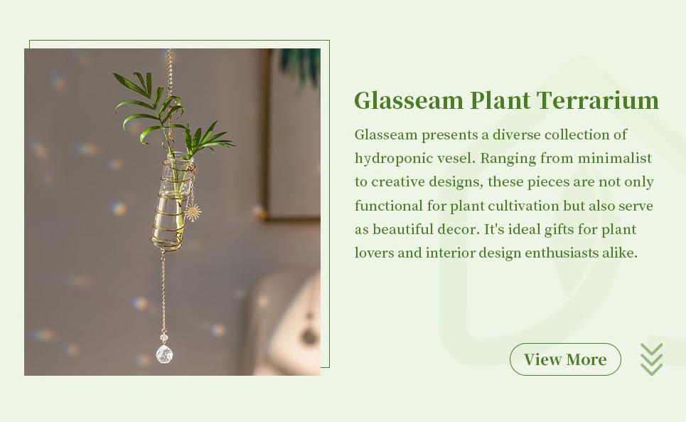 Glasseam 4Pcs Hanging Propagation Stations with Crystal Suncatchers, Glass Tubes Jars with Metal Chain Glass Wall Planters for Indoor Plants Hydroponics