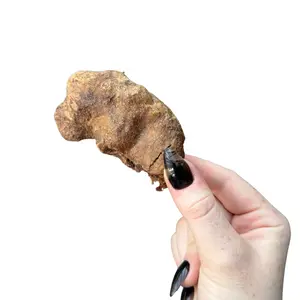 King Lou Duck Liver Treats for Dogs and Cats - 100% USA, Freeze-Dried Raw, Naturally Rich in Iron, Vitamins, and Nutrients