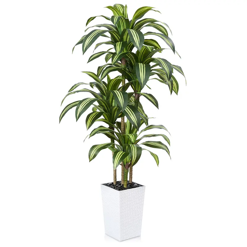 VeriNatural 5/6FT Artificial Dracaena Tree UV Resistant with Black Taper Planter for Indoor & Outdoor(VN127-H)【SummerVibes】