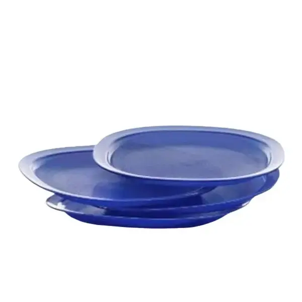Reheatable Luncheon Plates