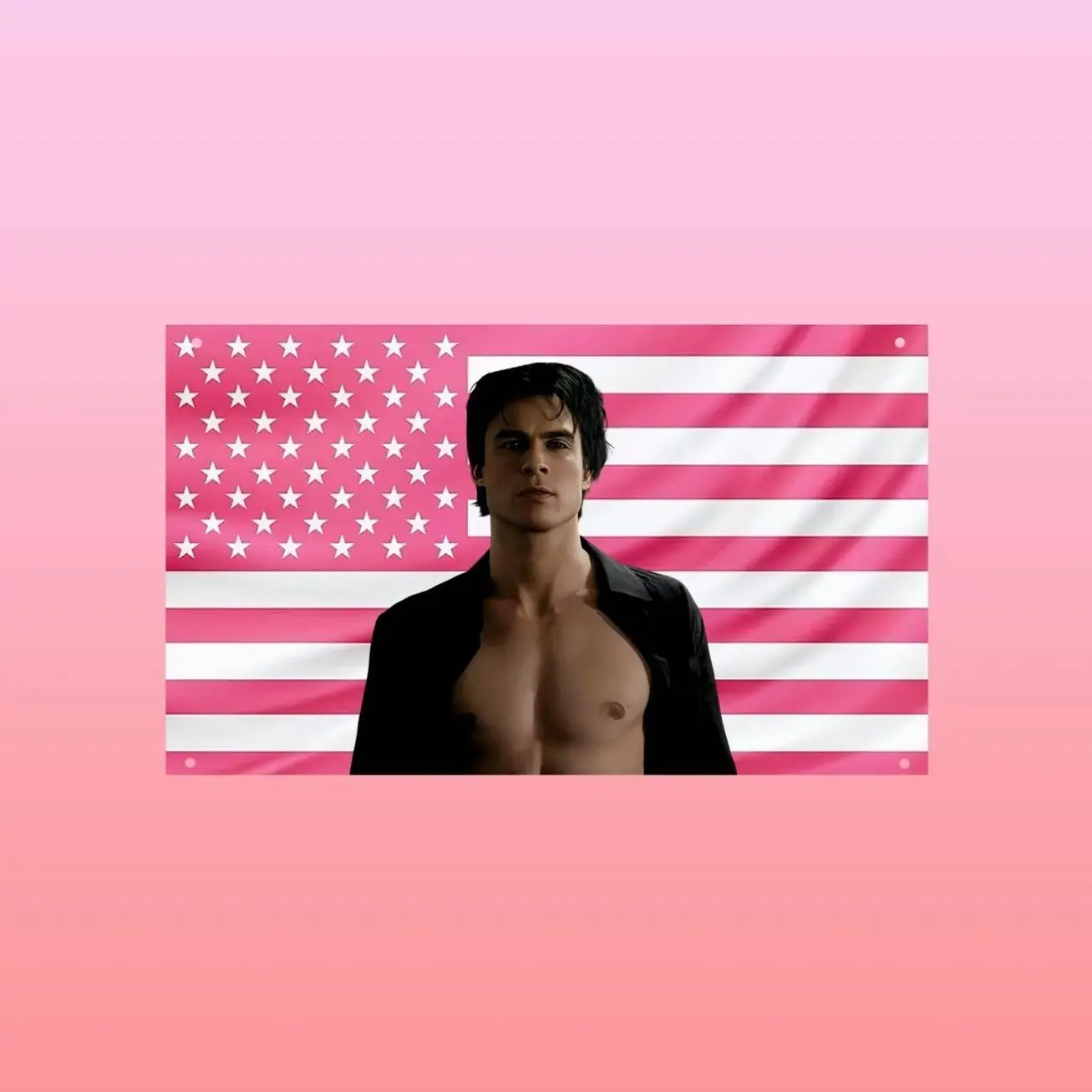 Damon Salvatore Flag | Hot Vampire Guy Pink American Flag | TVD Aesthetic Wall Decor