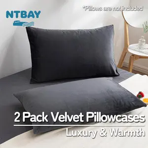 NTBAY 2 Pack Velvet Pillowcases – Plush Soft Zipper Closure Pillow Covers