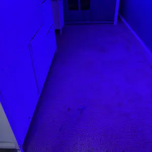 Sikaic Low Loft Bed Twin Size with 7 Storage Drawers, Bookcase and LED Lights, Metal Kids Loft Bed with 14" H Safety Guardrail, Inclined Ladder and Play Curtain, Under-Bed Play Space