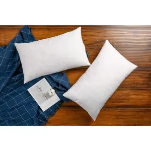 12*20 Goose Down Feather Throw Pillow Inserts(Set of 2)-5% Down Filling,High Filling Weight,250 TC Cotton Cover, Square, White