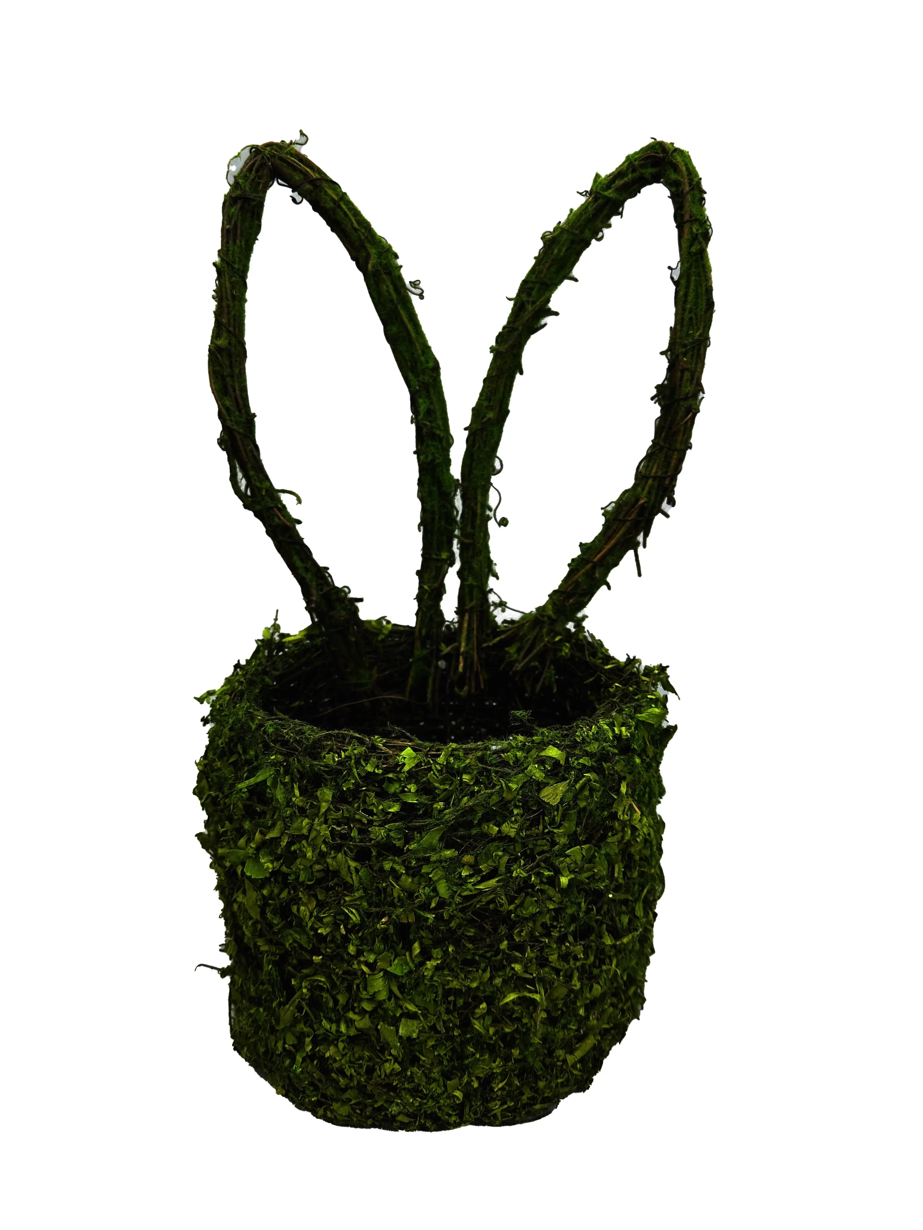 Moss Bunny Ears Basket