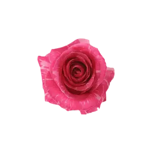 Shop Deep Pandora Roses for Local Delivery