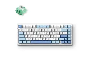 MCHOSE G75 PRO 75% Wireless Mechanical Keyboard, TKL Keyboards Tri-Mode BT5.0/2.4GHz/USB-C, Hot Swap Custom Creamy Keyboards Linear Switch, Double Shot PBT Keycaps RGB LED Backlit (Blue/Cabbage Tofu)
