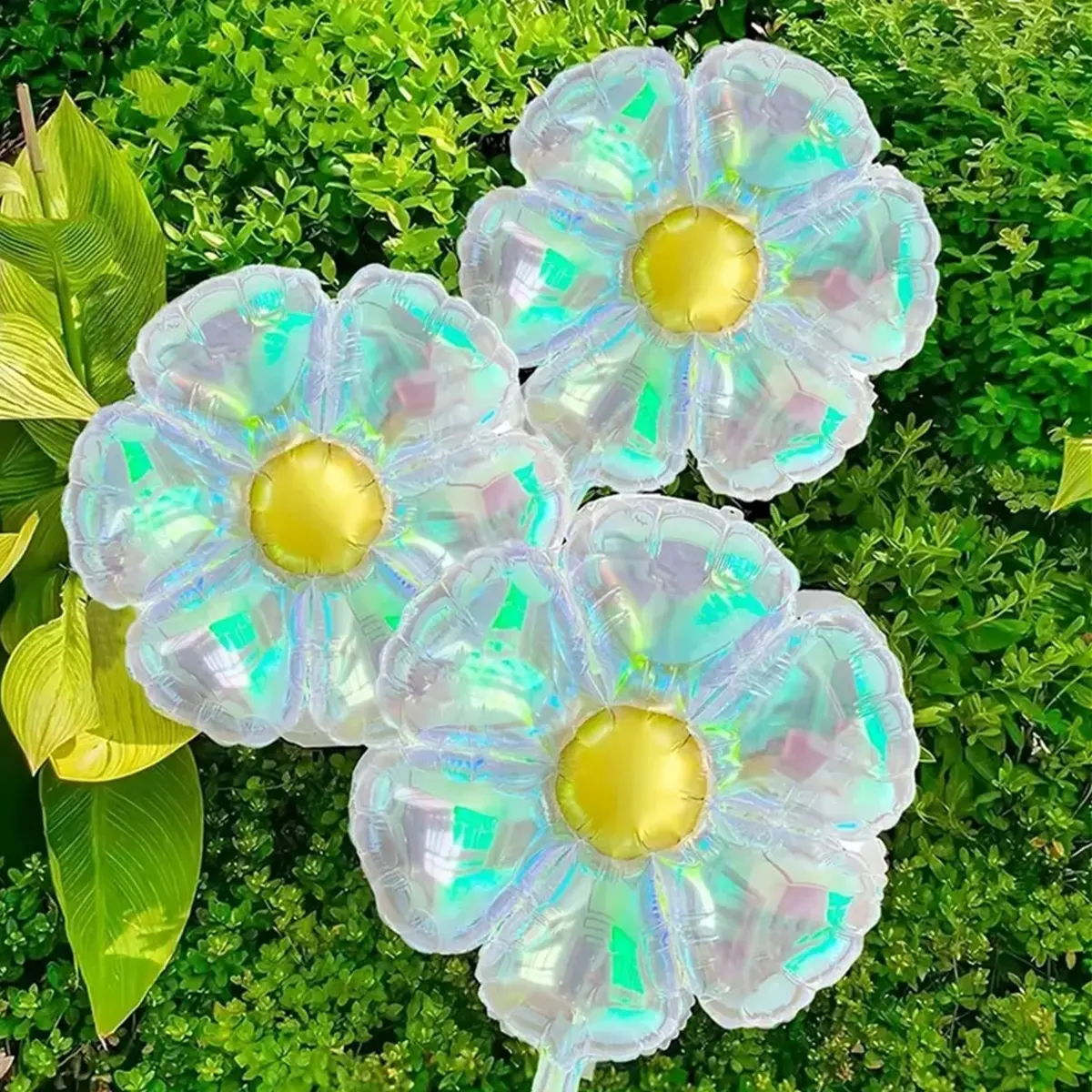 4 Pcs Clear Holographic Laser Colored Daisy Balloons for Birthday, Baby Shower, Wedding Engagement Decoration (Colored Daisy) graduation  balloons