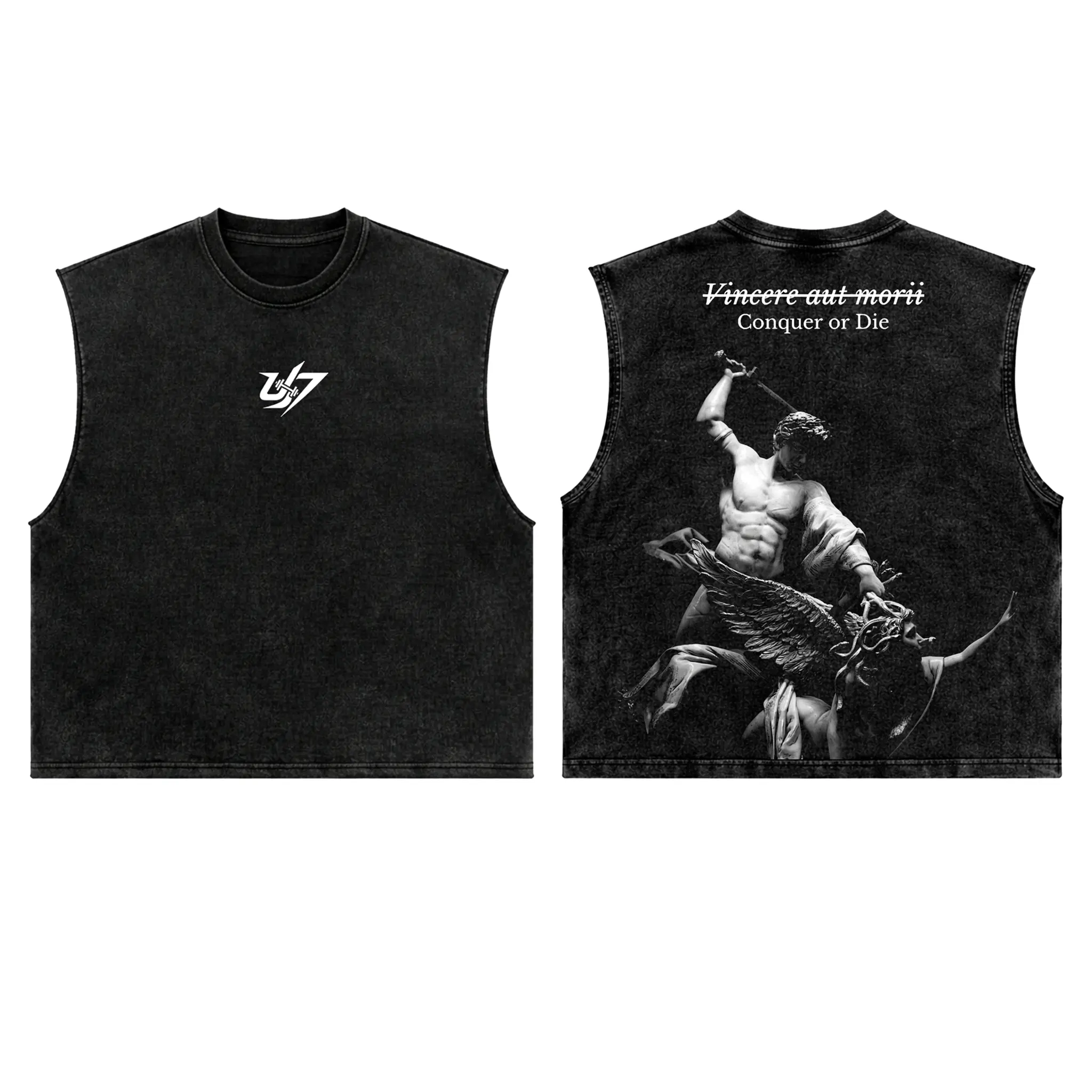Conquer Workout Tank, Workout Shirt, Men's Sport Outfit, Gym Men's Top, Training Clothing, Anime Merch Fan