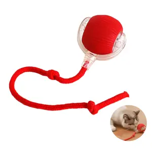 Chewie Ball, Chewie Viral Rolling Ball, Interactive Cat Ball Toy, Chewie Ball for Dogs, Chewie Smart Automatic Rolling Pet Ball, Automatic 360° Rotating Rolling Ball with USB Charging JOWNEEL