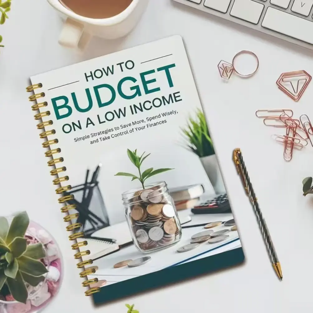Low Income Budget Notebook, Expense Tracker, Debt Management, Monthly Budget Planner, Personal Finance Organizer, Savings Plan Book, Financial Goal Planner, Savings Challenge Planner